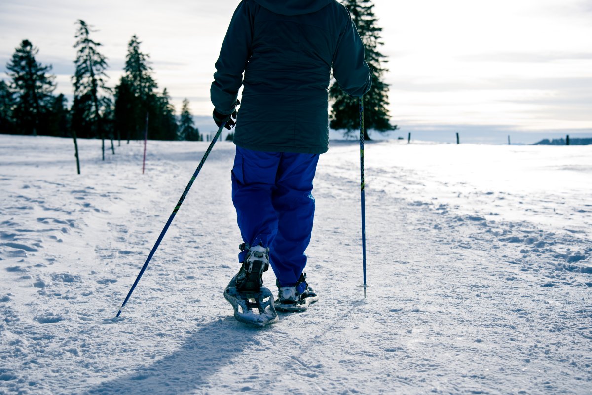 Randonnée en raquettes aux Cluds